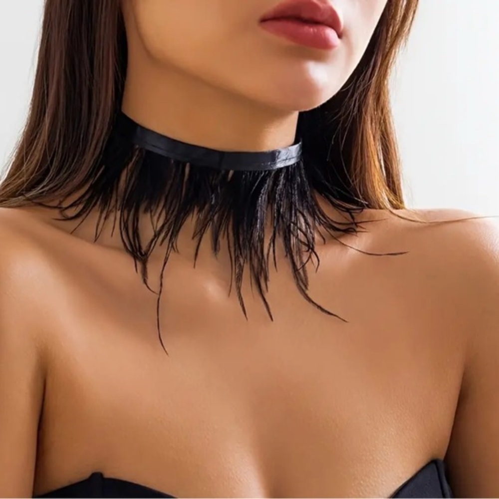 Lulu's Black Feather Statement Choker Necklace